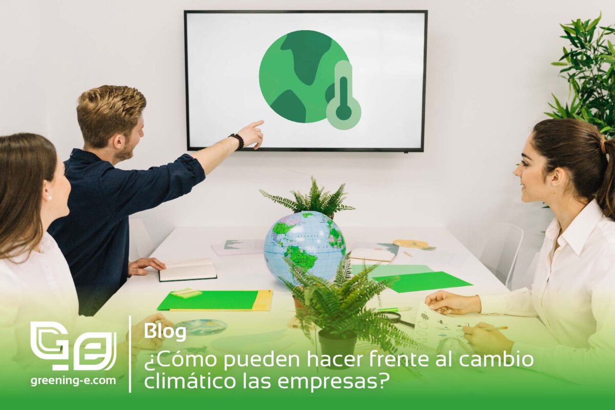 C Mo Pueden Hacer Frente Al Cambio Clim Tico Las Empresas