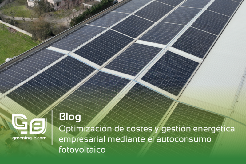 Gestión energética empresarial mediante el autoconsumo fotovoltaico