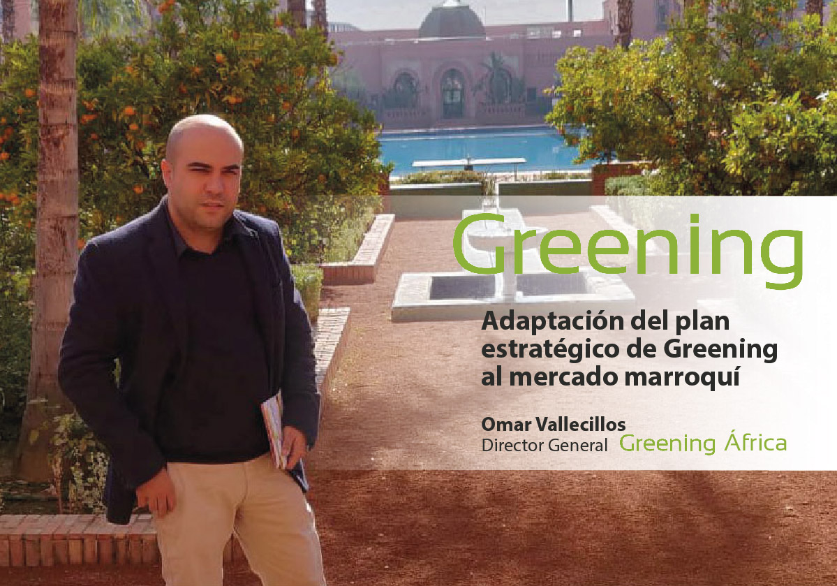 Adaptación del plan estrategico de greening-e al mercado marroquí