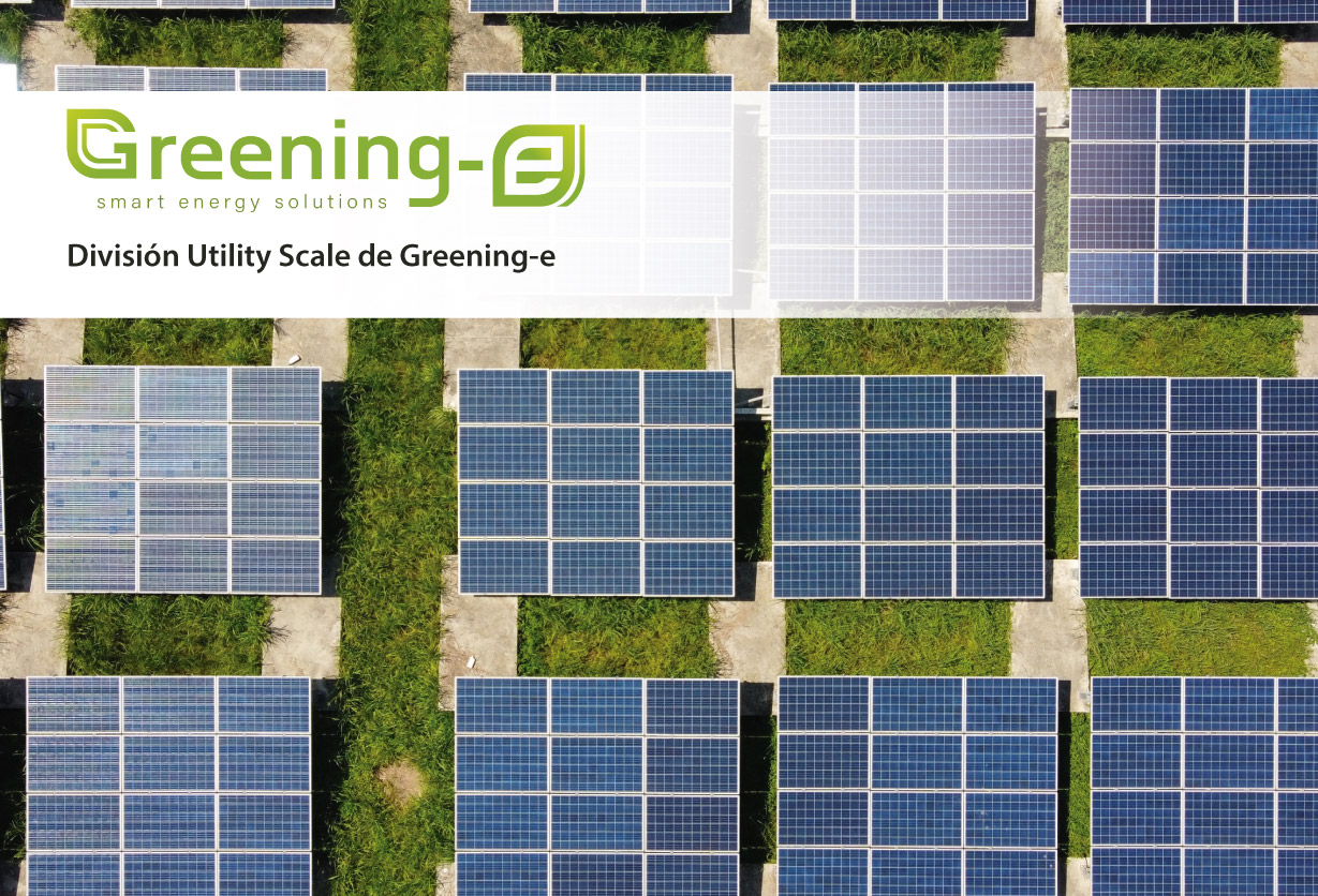 División Utility Scale de Greening-e