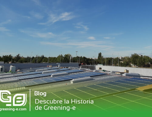 Descubre la Historia de Greening-e